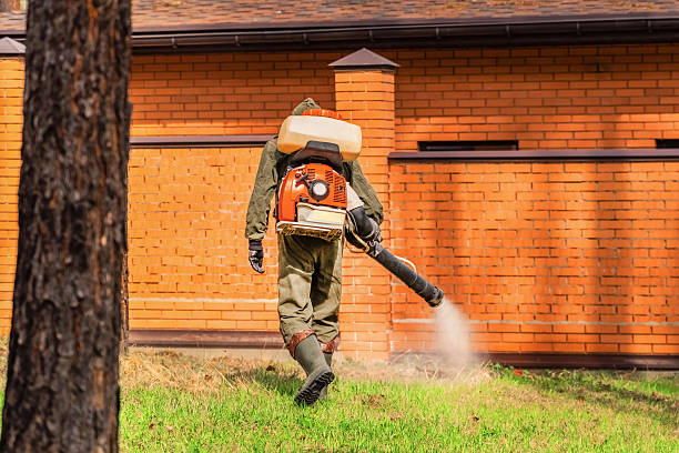 Trusted Termite Control service in Magnolia, OH - Nex Pest Control